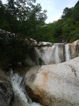 沪江开心词场